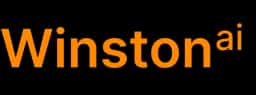 Winston AI card icon